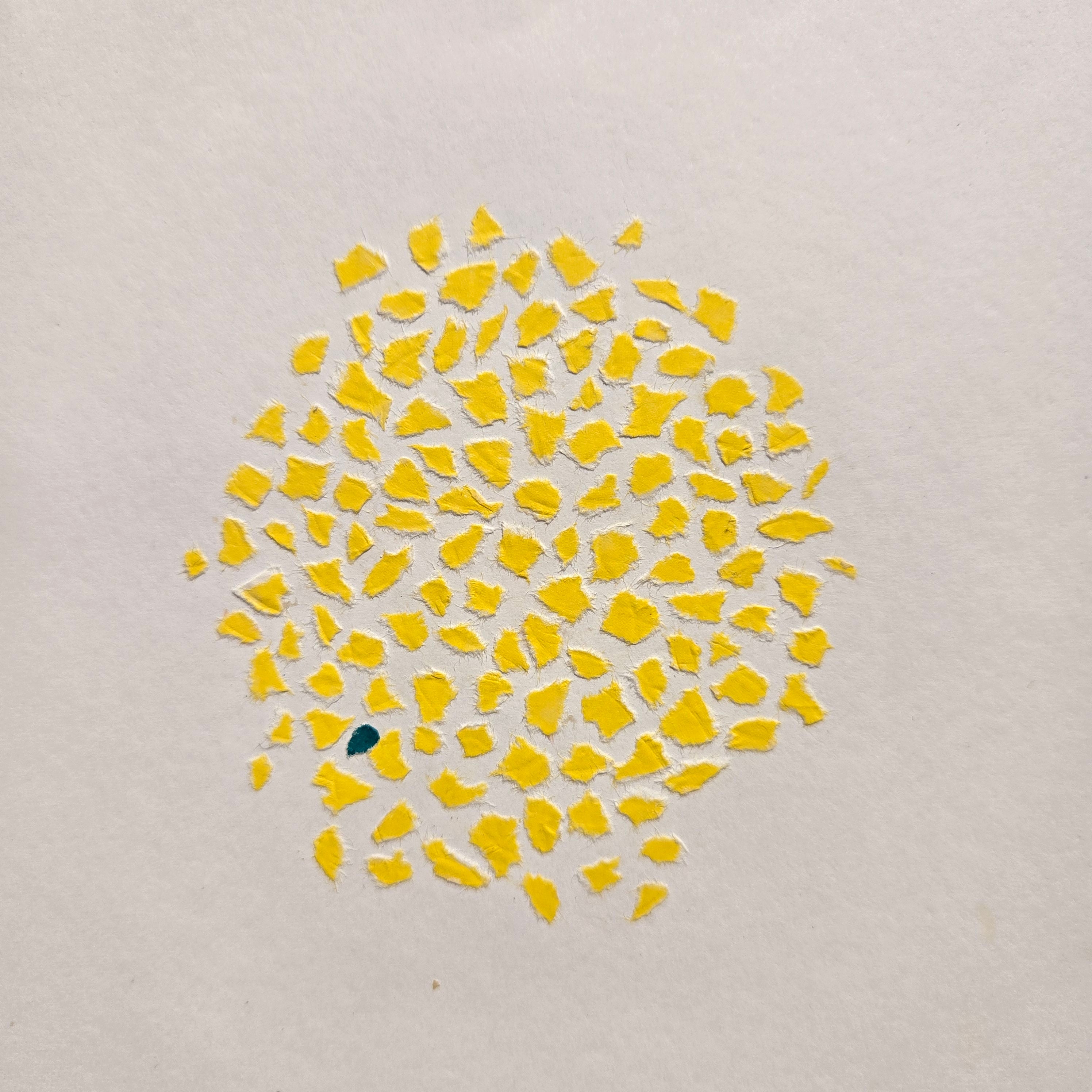 Categories on the Beauty of Physics: Particle (Dots)