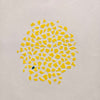 Categories on the Beauty of Physics: Particle (Dots)