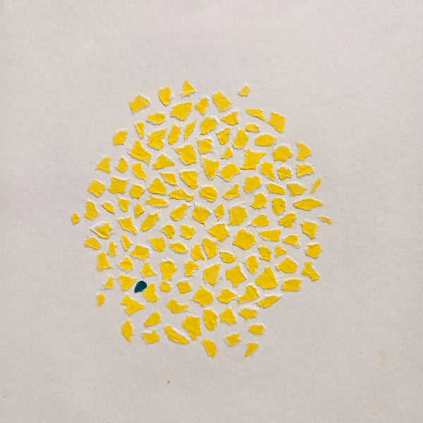 Categories on the Beauty of Physics: Particle (Dots)