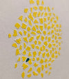 Categories on the Beauty of Physics: Particle (Dots)
