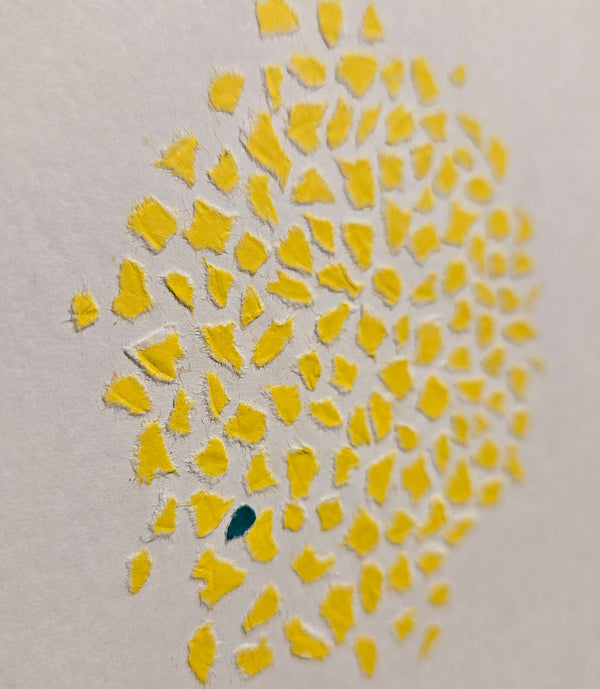 Categories on the Beauty of Physics: Particle (Dots)