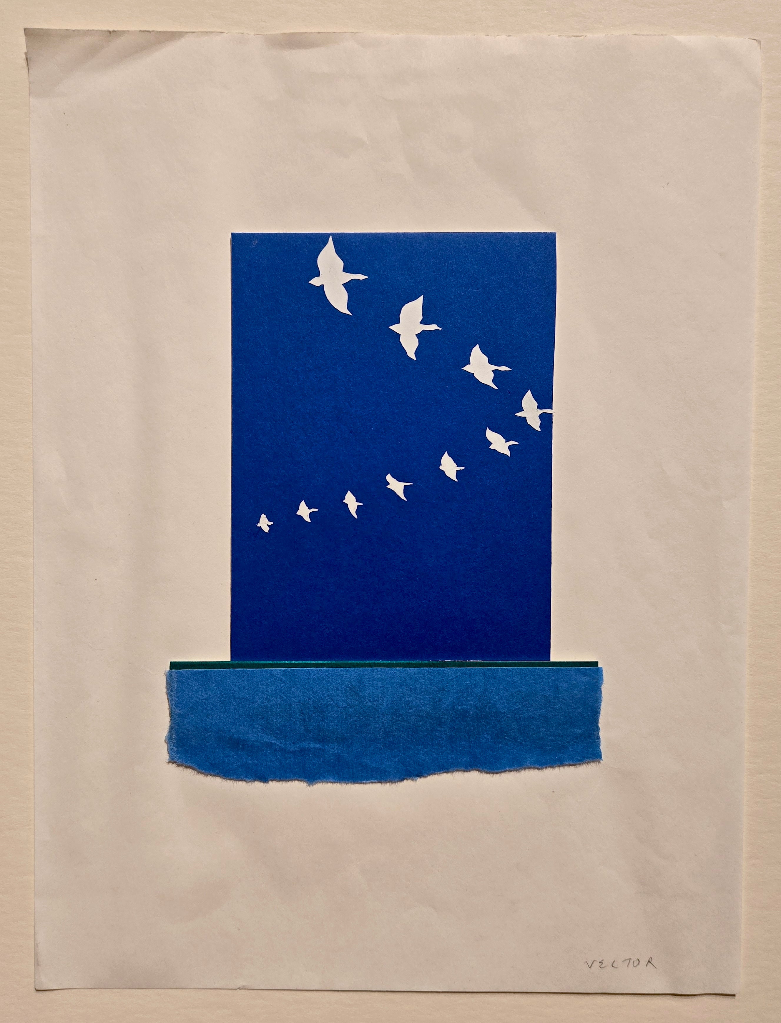 Categories on the Beauty of Physics: Vector (Birds)