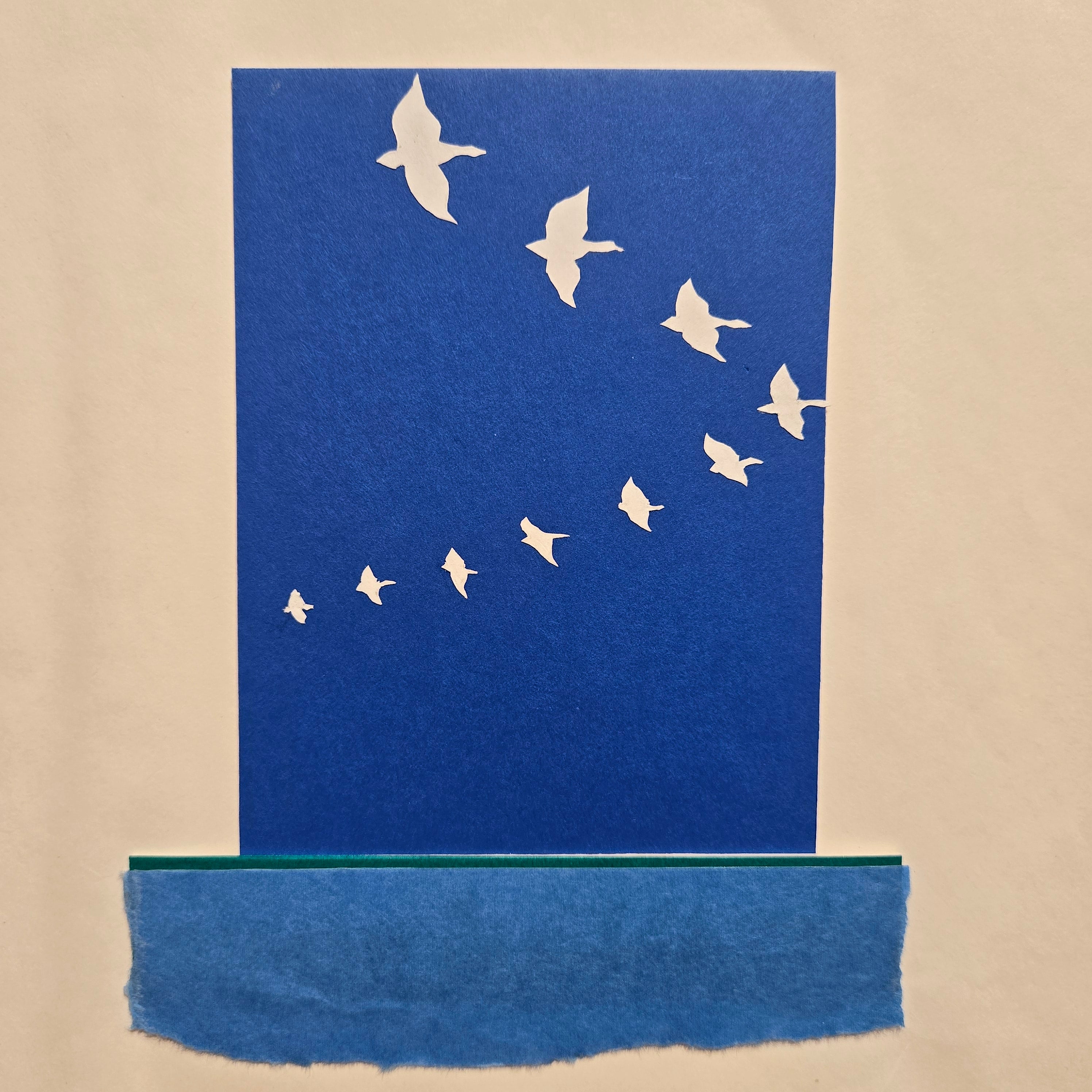 Categories on the Beauty of Physics: Vector (Birds)
