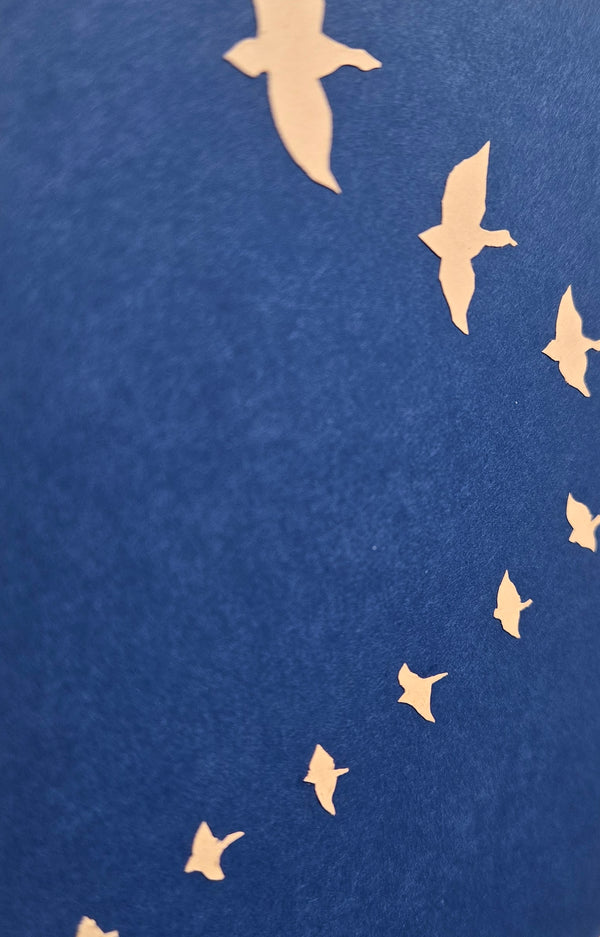 Categories on the Beauty of Physics: Vector (Birds)