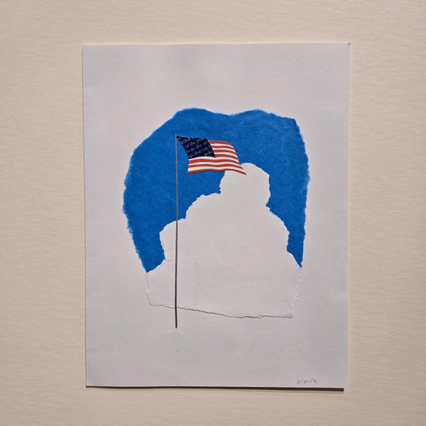 Categories on the Beauty of Physics: Wave (Flag)
