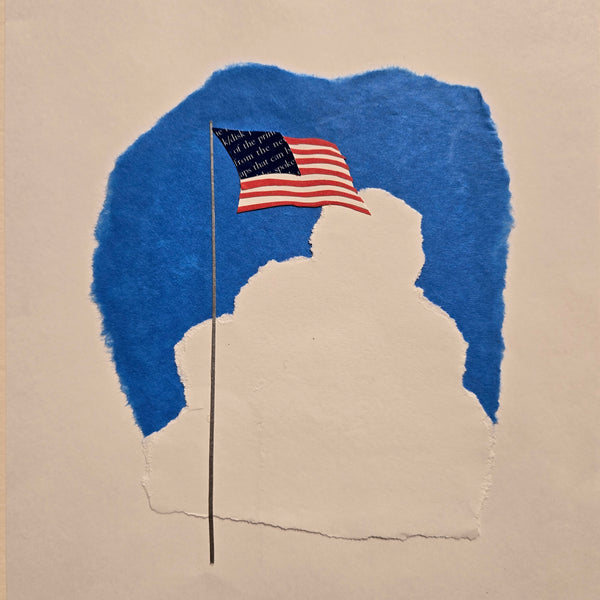 Categories on the Beauty of Physics: Wave (Flag)