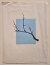 Categories on the Beauty of Physics: Angle (Tree)