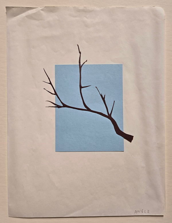 Categories on the Beauty of Physics: Angle (Tree)