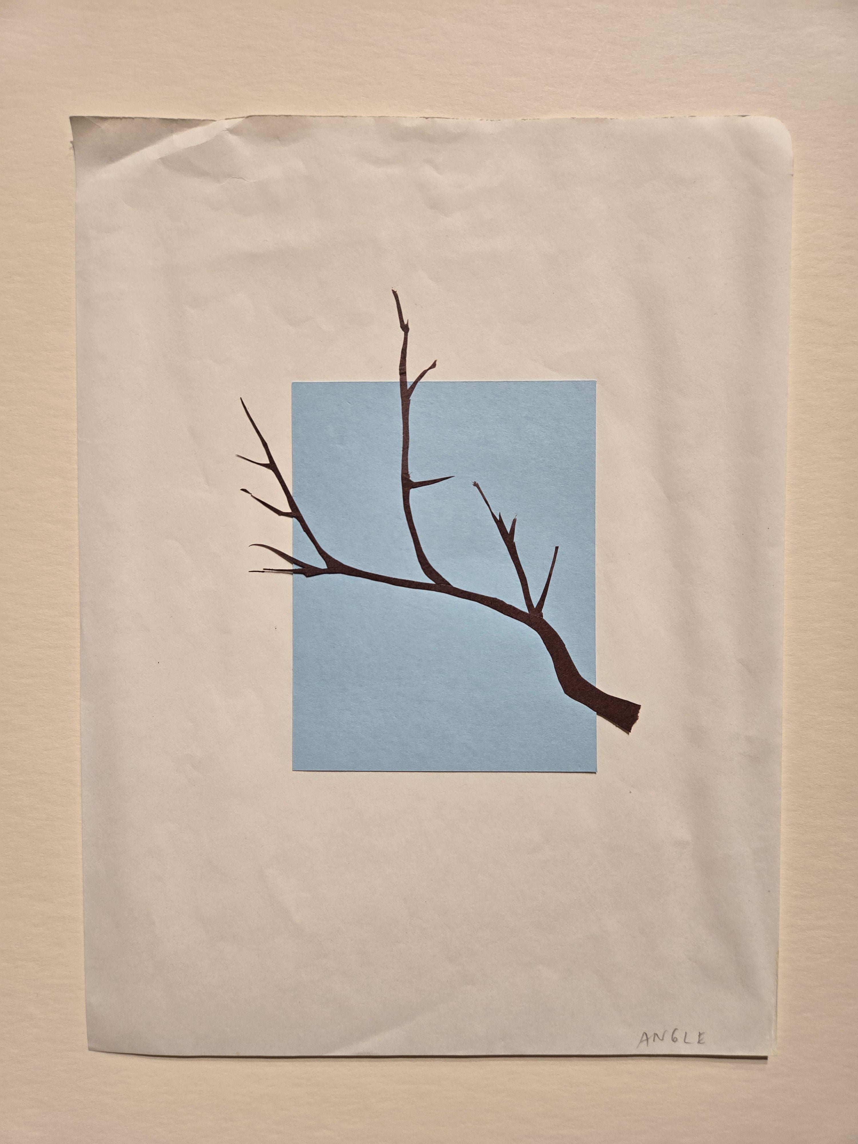 Categories on the Beauty of Physics: Angle (Tree)