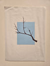 Categories on the Beauty of Physics: Angle (Tree)