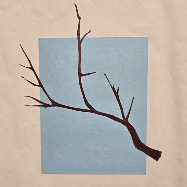 Categories on the Beauty of Physics: Angle (Tree)