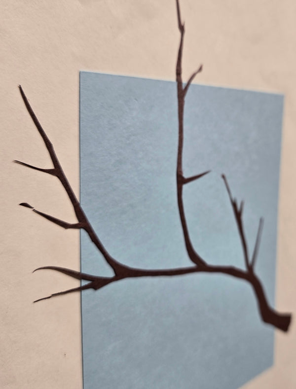 Categories on the Beauty of Physics: Angle (Tree)