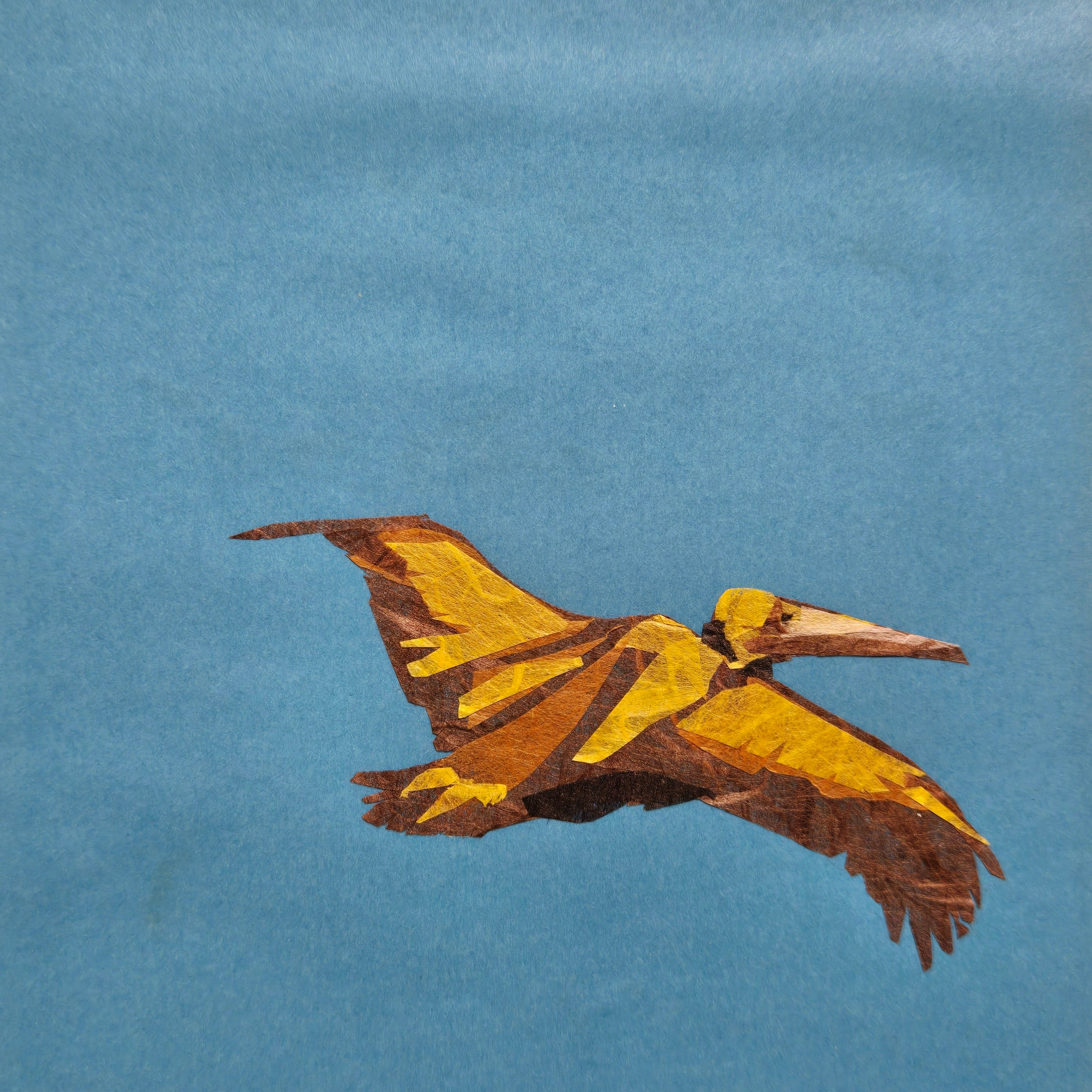 Categories on the Beauty of Physics: Momentum (Single Bird)