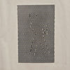 Categories on the Beauty of Physics: Motion (B&W Figure)