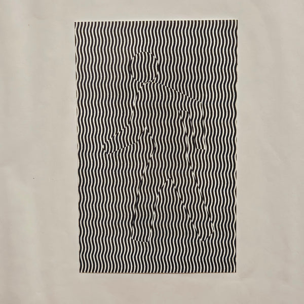 Categories on the Beauty of Physics: Motion (B&W Figure)