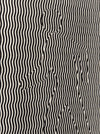 Categories on the Beauty of Physics: Motion (B&W Figure)