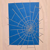 Categories on the Beauty of Physics: Field (Spiderweb)