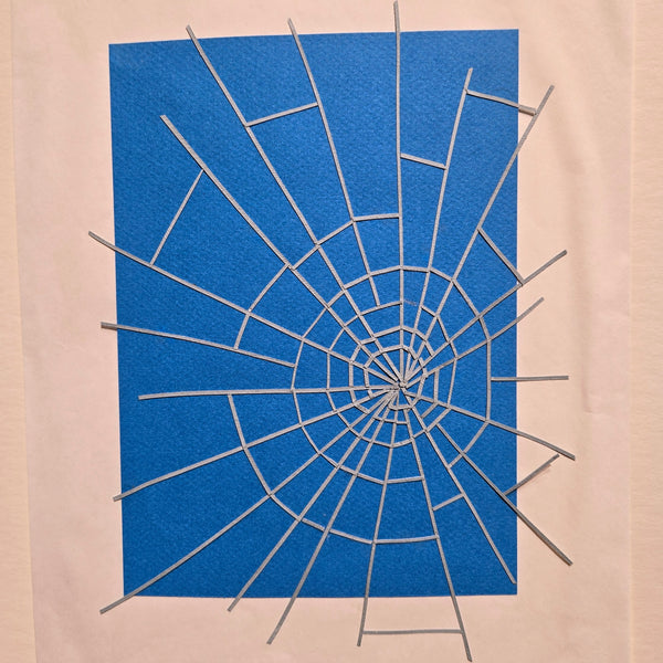 Categories on the Beauty of Physics: Field (Spiderweb)