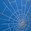 Categories on the Beauty of Physics: Field (Spiderweb)