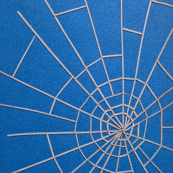 Categories on the Beauty of Physics: Field (Spiderweb)