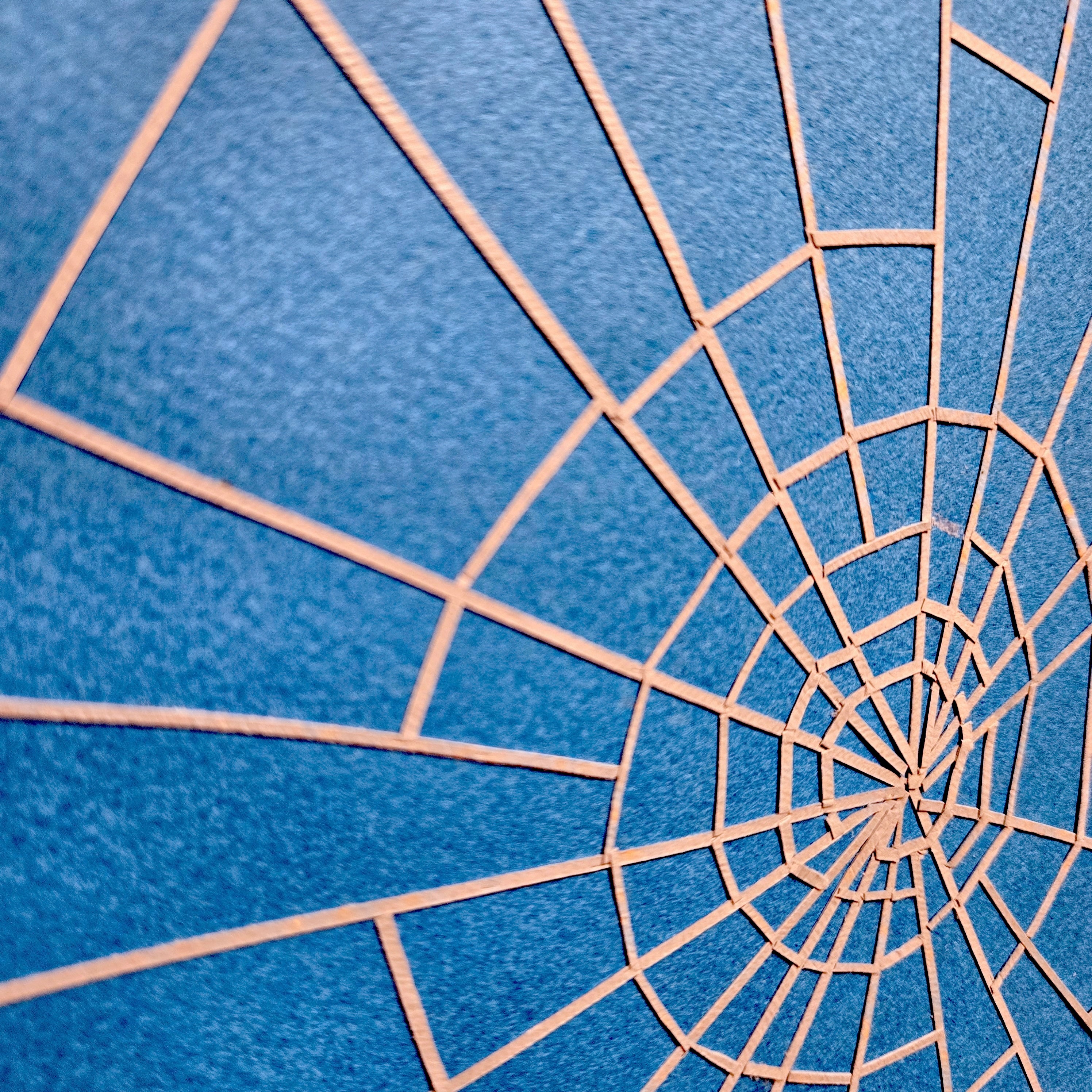 Categories on the Beauty of Physics: Field (Spiderweb)