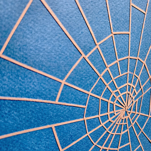Categories on the Beauty of Physics: Field (Spiderweb)