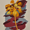 Categories on the Beauty of Physics: Heat (Palm)