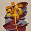 Categories on the Beauty of Physics: Heat (Palm)
