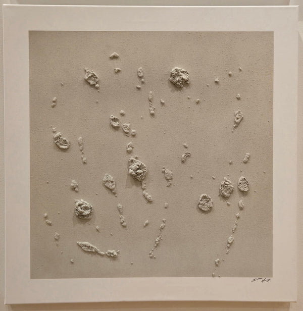 Desert Storm III