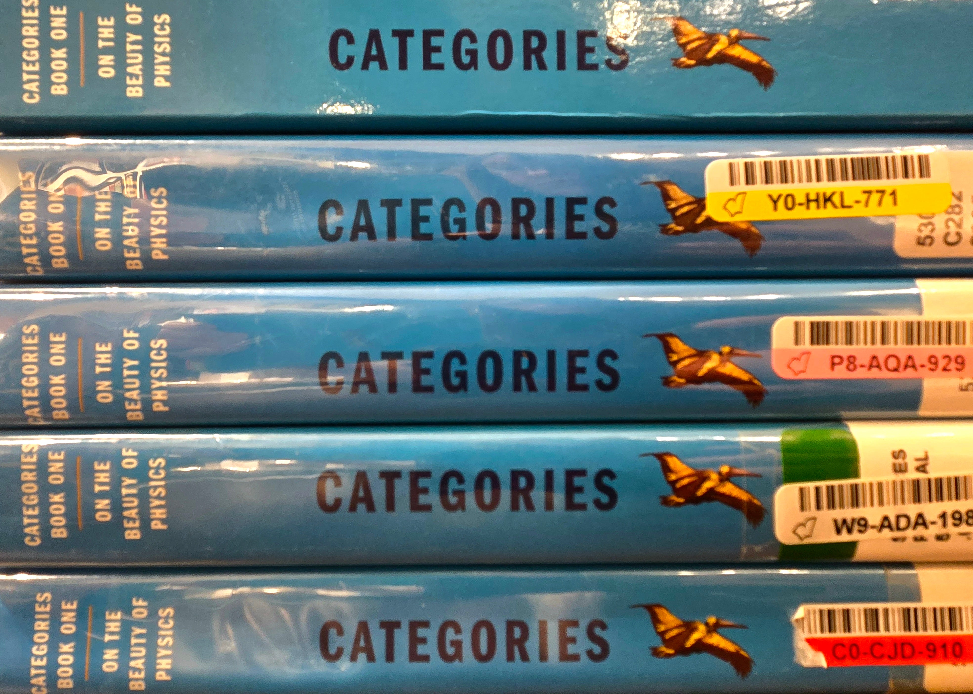 Categories on the Beauty of Physics