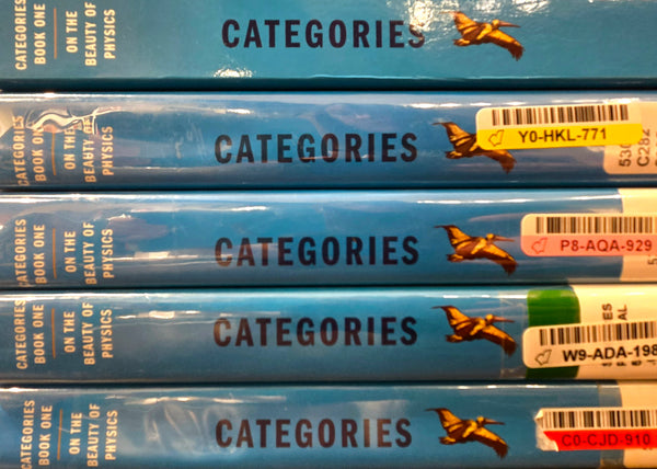 Categories on the Beauty of Physics