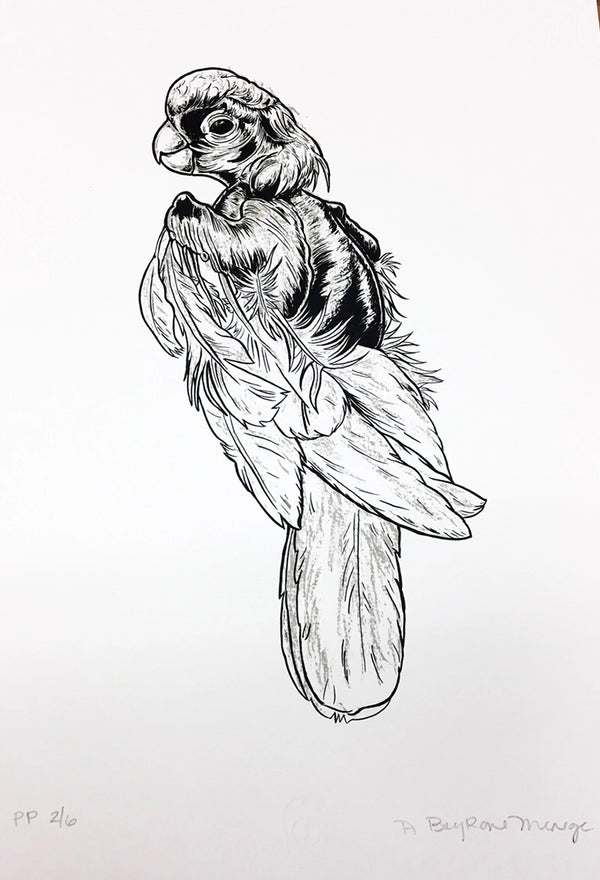 Plucked