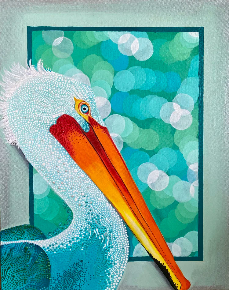 American Pelican