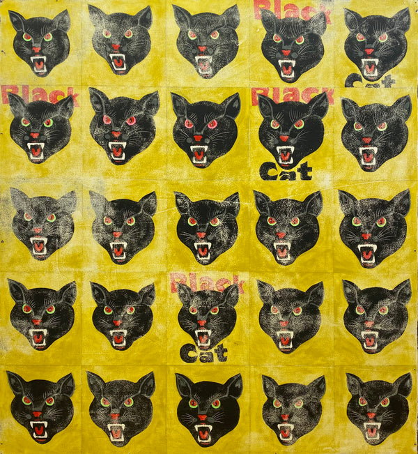 Black Cat 25