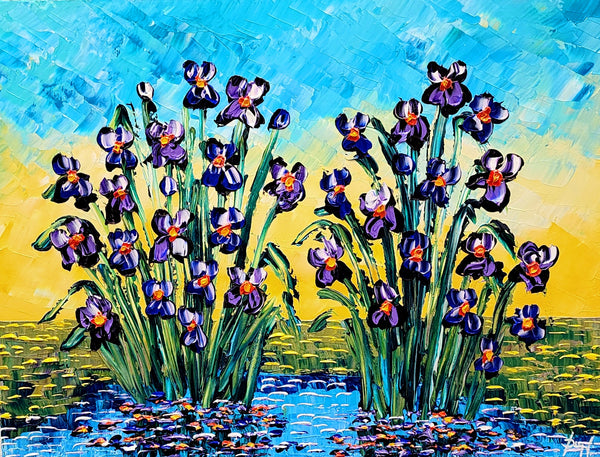 Delightful Irises of the Sunrise