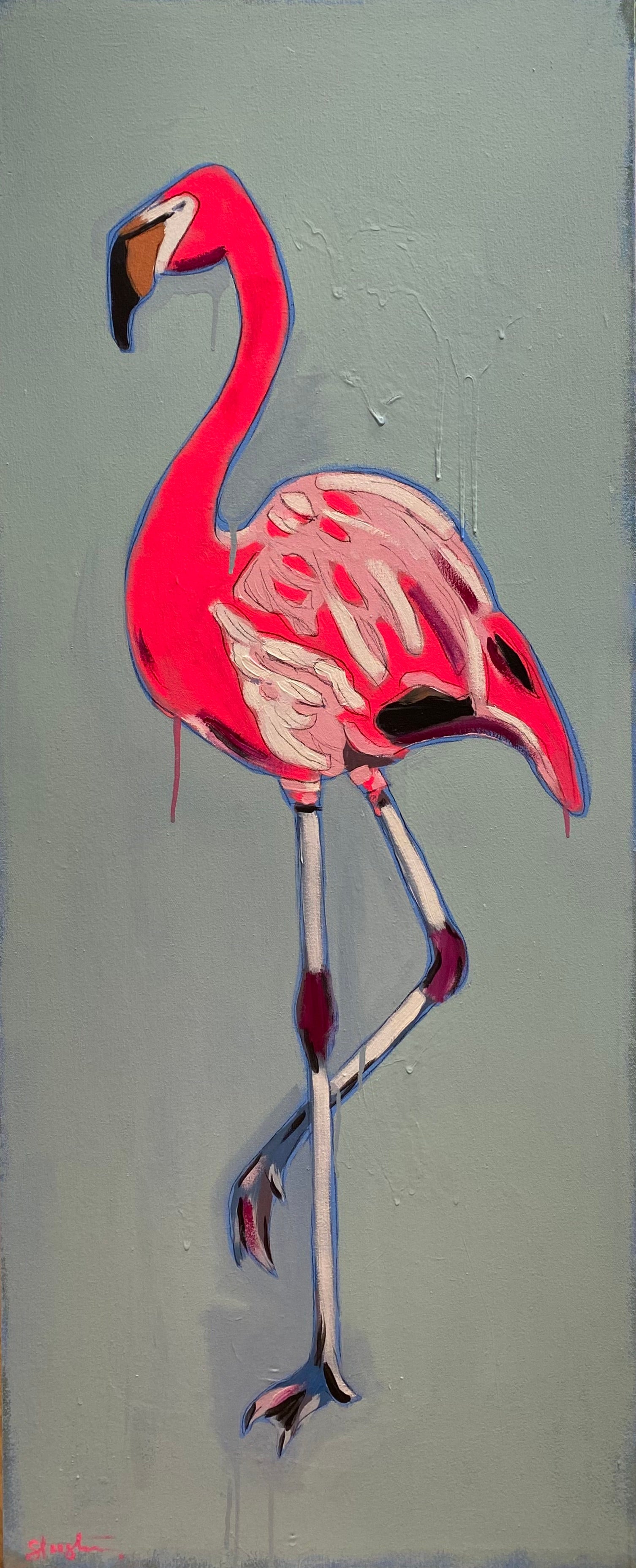 Flamingo