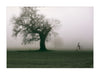 Hyde Park