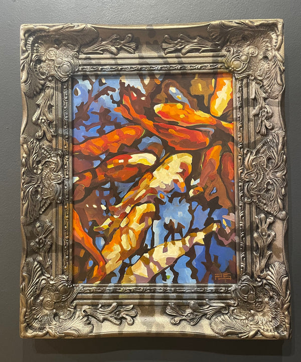 Zilker Koi Pond Majesty