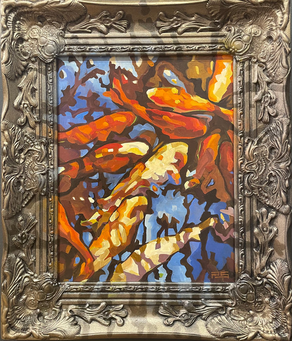 Zilker Koi Pond Majesty