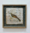 Wren - Framed