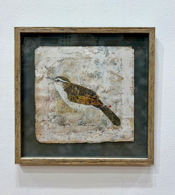 Wren - Framed