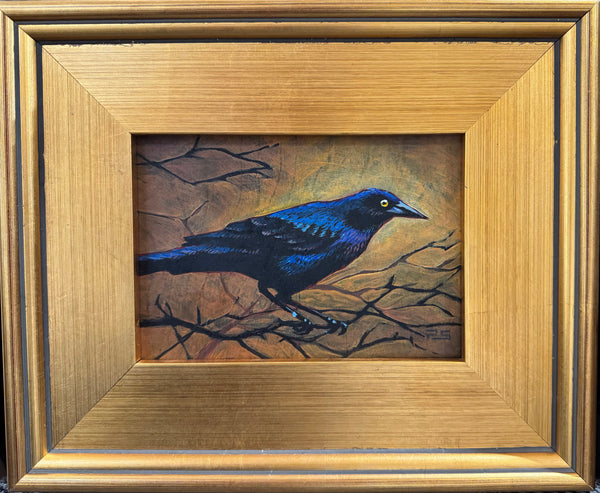 Grackle In Gold