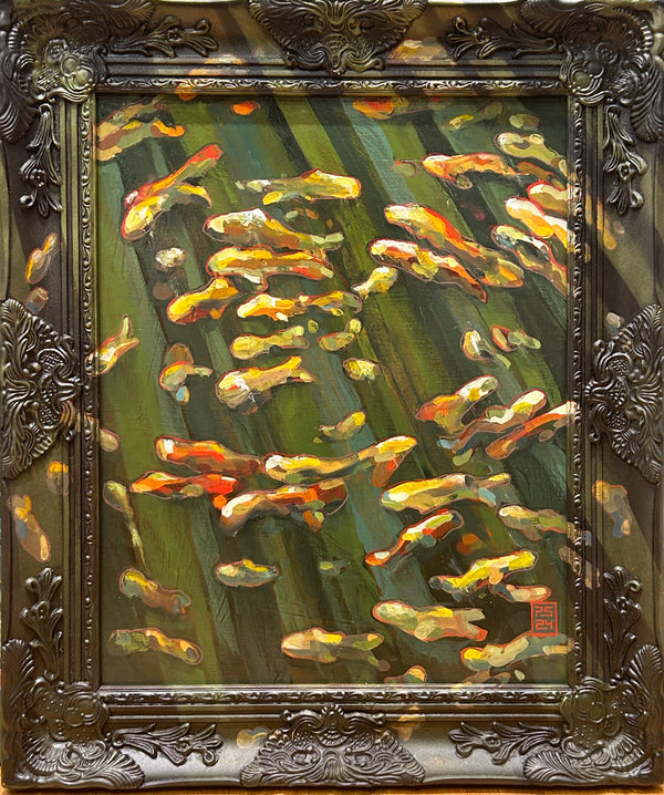 Spotlight Koi