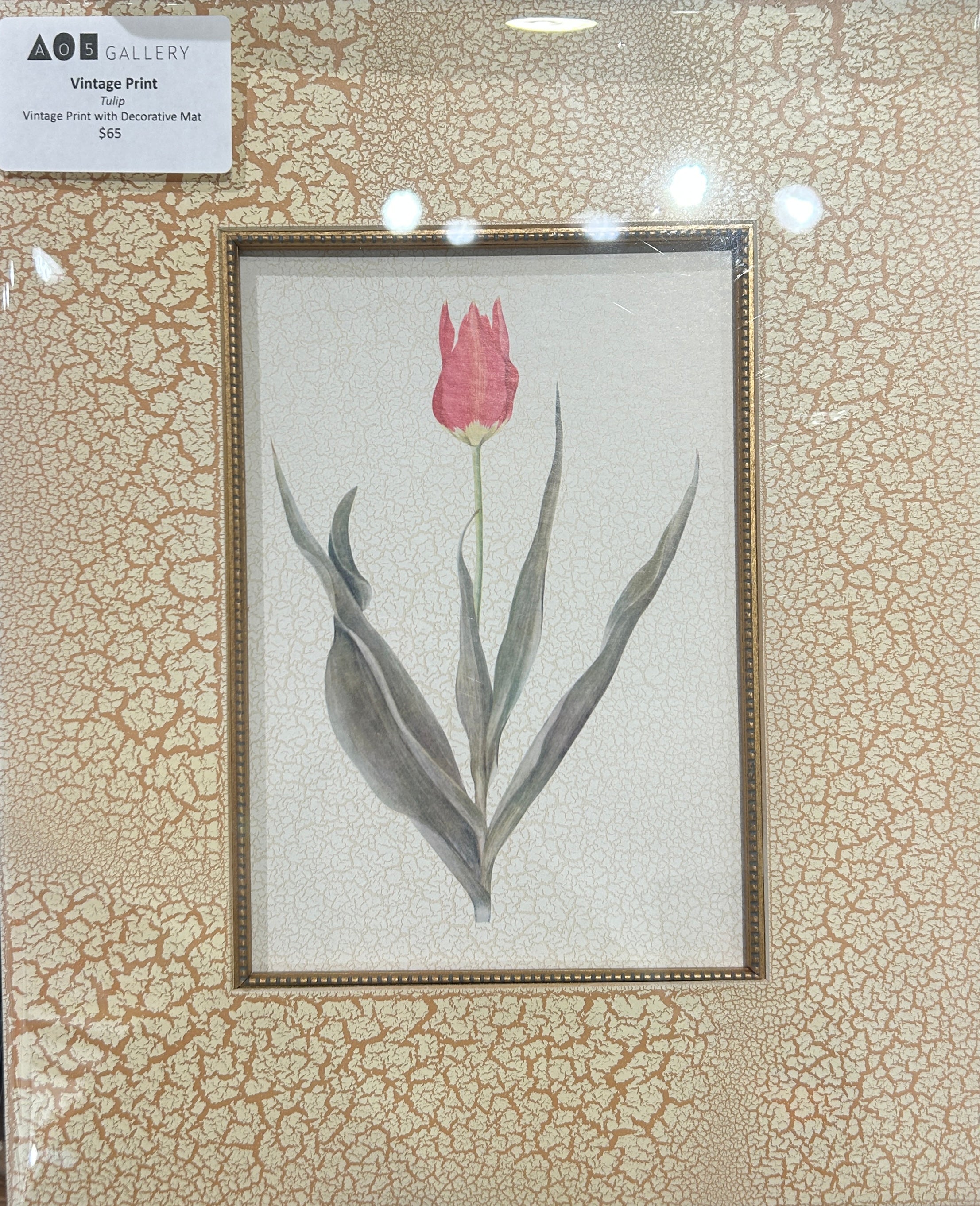 Vintage Tulip