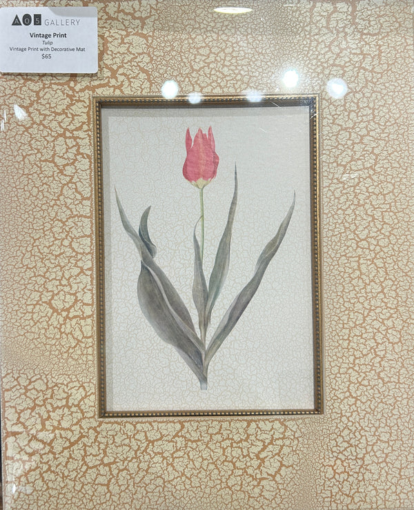 Vintage Tulip