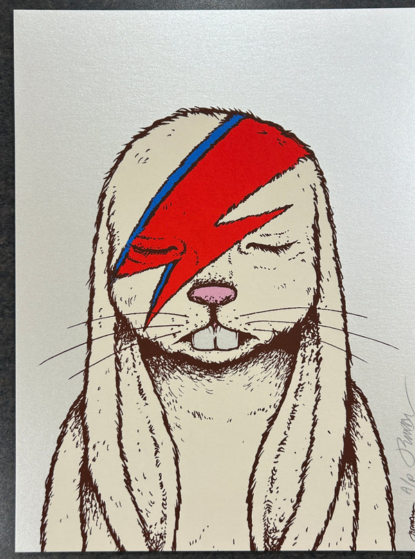 Aleppin Sane - Handbill - Opal Stardream A/P