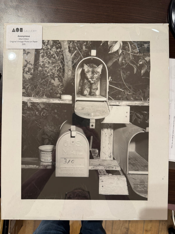 Mail Kitten Vintage Photo
