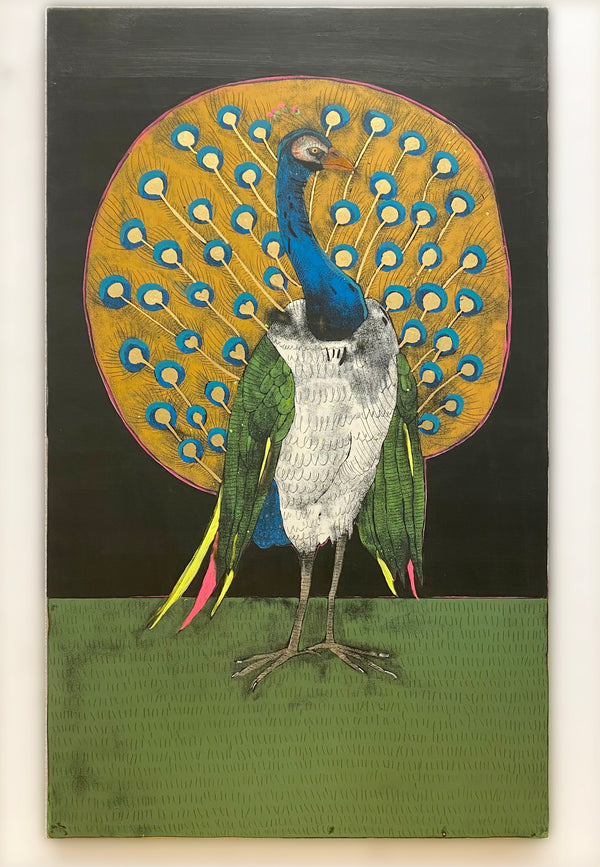 peacock with gold radiant plumbs