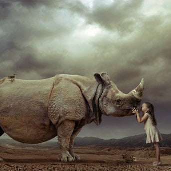 Rhino Kiss