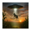 Saucer Cow